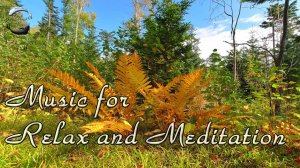 1 час спокойной музыки на фортепиано для Отдыха, Йоги, Массажа, Спа