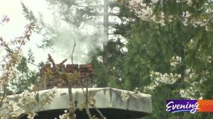 Сказочный дед