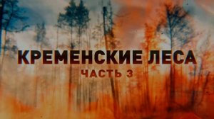 Эксклюзив из опаснейшей зоны боёв: как спецназ «Ахмат» работает в лесном массиве под Белогоровкой