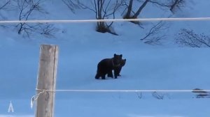 Такой избы вы еще не видели. Обзор дома из Кело 193 м2