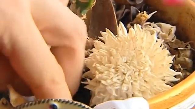 Полив цветов в период отпуска: 3 простых способа / ПОЛЕЗНЫЕ СОВЕТЫ / ЛАЙФХАКИ ДЛЯ ГОРШЕЧНЫХ РАСТЕНИ смотреть онлайн