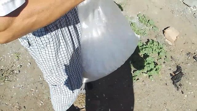 Строим столярку. Часть 3. Заливка стен