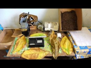 Табаководство_ Ответы на часто задаваемые вопросы.