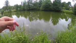 Твичинг воблеров с флюорокаброном, вместо плетенки.