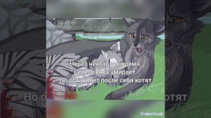 VideoCook_20240219_201732882.mp4