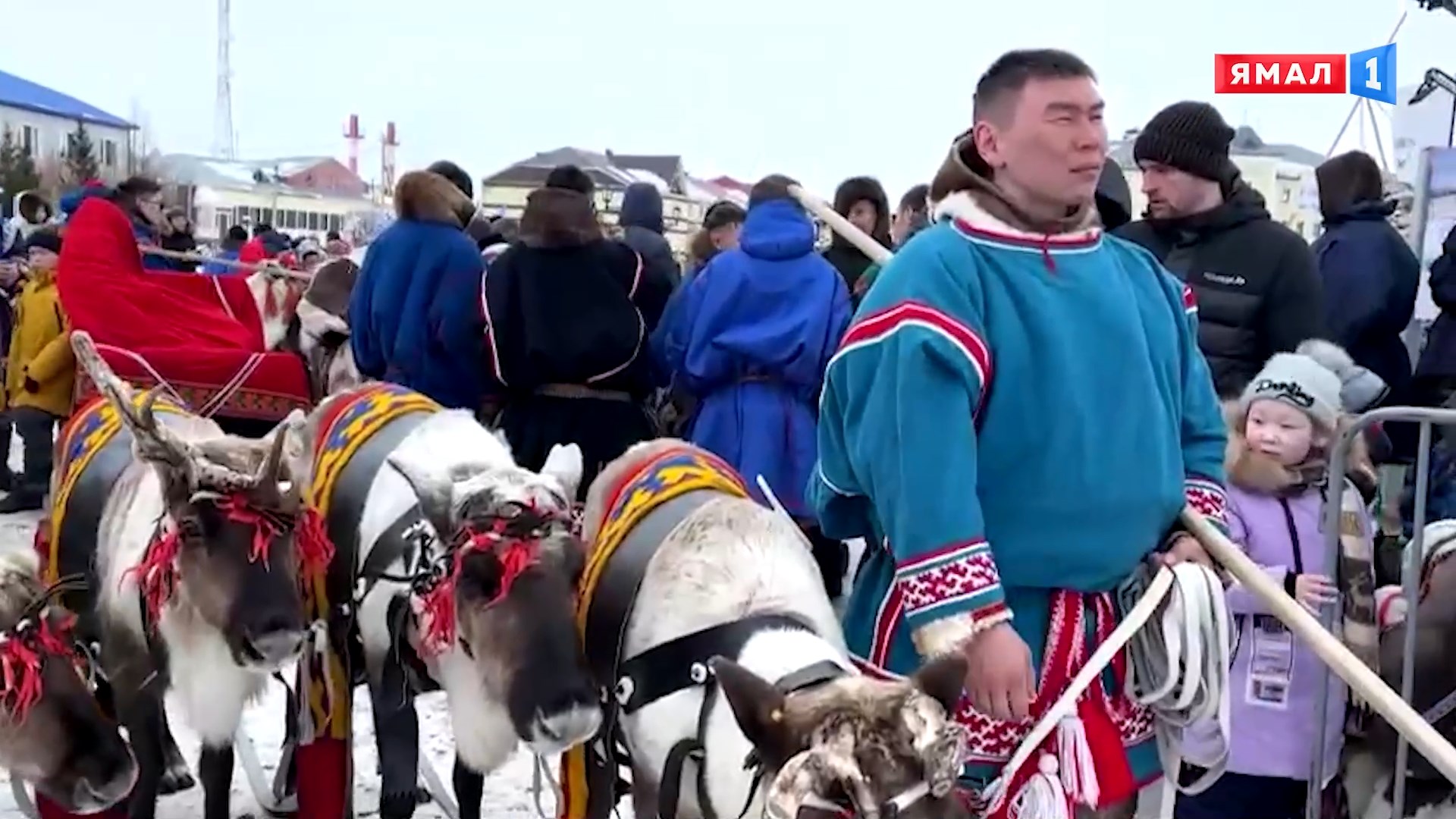 день оленевода ямал