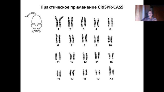 Лекция 13 (2023) CRISPR-CAS