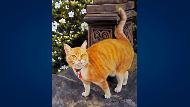 Mark Adams смотреть онлайн