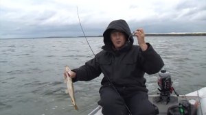 Братья Щербаковы. Приманка Bait Breath Fish Curly