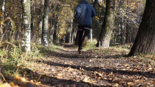 СТАРТ - БЕГ смотреть онлайн