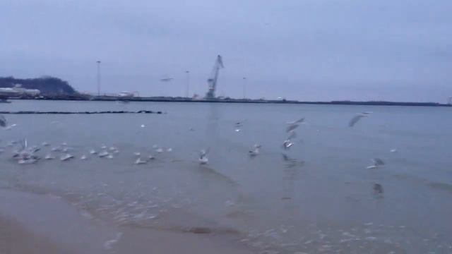 Дневник здоровья: держим в тепле голову и ноги! смотреть онлайн