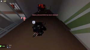 custom bots-EVADE | Roblox