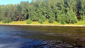 Тест винта SOLAS четырех лопастного OEM на салюте 510. Обзор ресторана на воде.