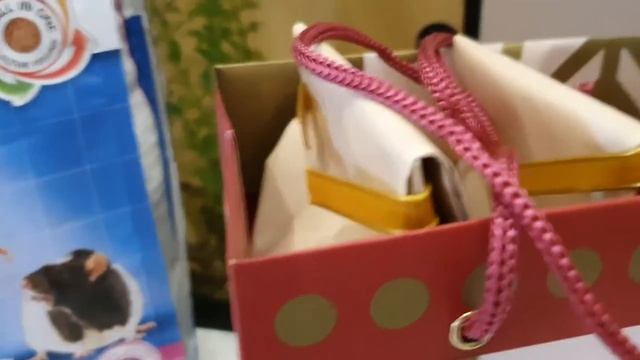 Я купила третью крысу! У хомяков не будет деток. смотреть онлайн