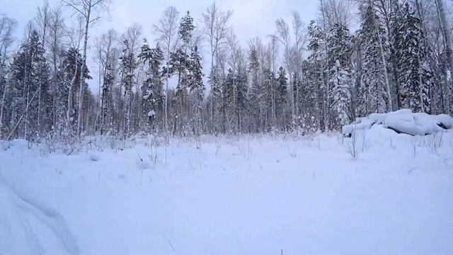 Где отдохнуть зимой!? Кордон!!! Томская область!