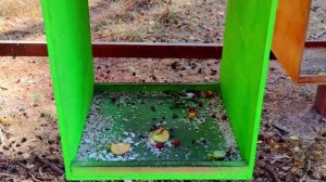 Челябинск. Золотая осень, природа южного Урала изумительно прекрасна. 21.09.2021г