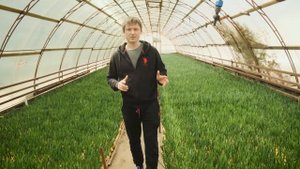 Зелёный лук продажа пера весной .