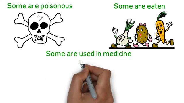 The Flowering Plants Handbook смотреть онлайн