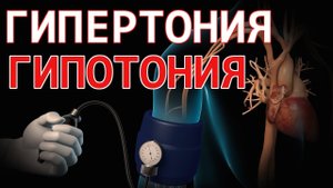 ? Гипертония это. Гипотония это (симптомы, причина и лечение)