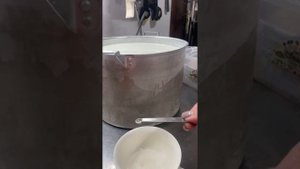 Йогурт из козьего молока- самый вкусный на свете?