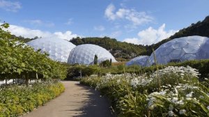 Новая эра туристического бизнеса / АгроТуризм / Глэмпинг