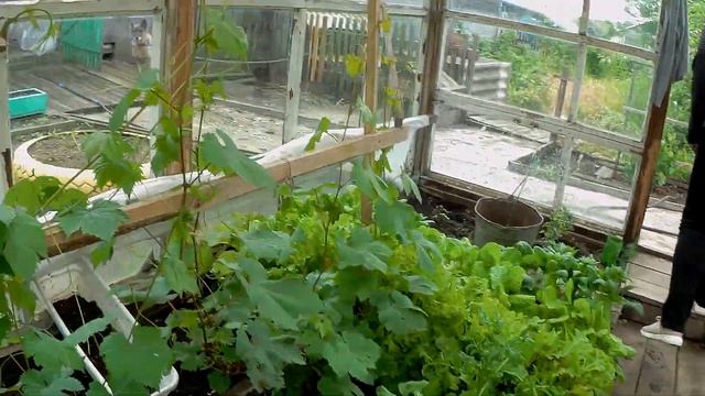 В ГОСТЯХ У СЕСТРЕНКИ/СЕЛО КАРАТУЗСКОЕ 20г#103 смотреть онлайн