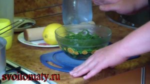 Тархун или лимонад из эстрагона