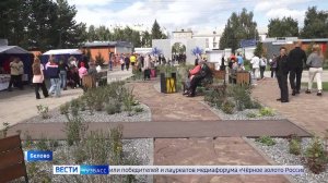 В Белове открылся обновлённый парк «Молодежный»