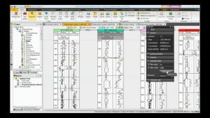 How to Add Well Logs And Well Tops In Petrel