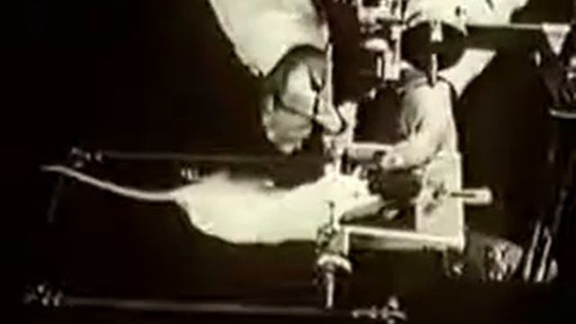 Электрофизиология ЦНС смотреть онлайн