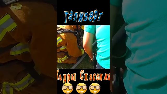 Кадры спасения животных №10 Красиво Круто Супер Интересное видео Спасение Позитив