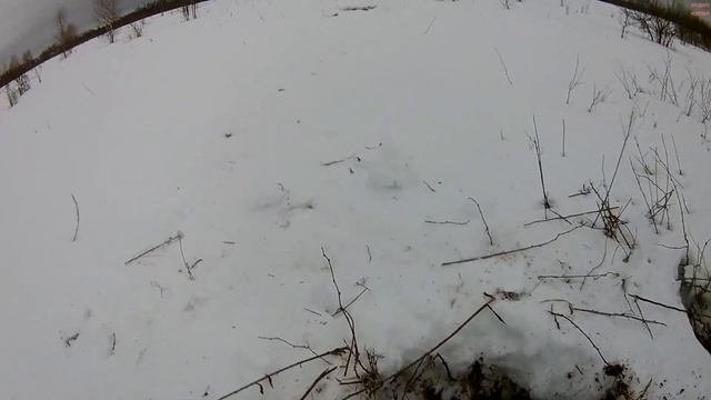 Поиск металлолома с металлоискателем Минелаб Ванквиш 440.