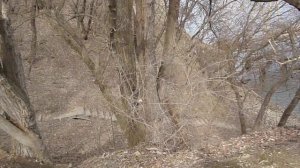 Весенний поход дилетанта на природу. Выпуск 3 (2ч)