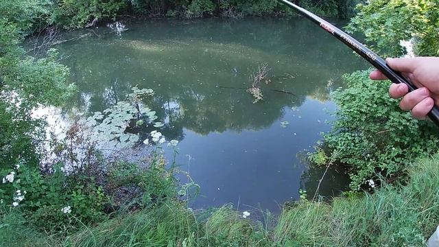 Наловили рыбы поплавочной удочкой на микроречке! Рыбалка с младшим братом смотреть онлайн