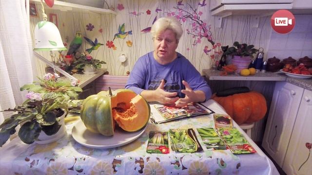 Блог садовода и огородника Светланы Кацаповой 105 вып (снова кабачок, семена, хранение)) смотреть онлайн