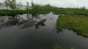 езда без правил на вездеходах