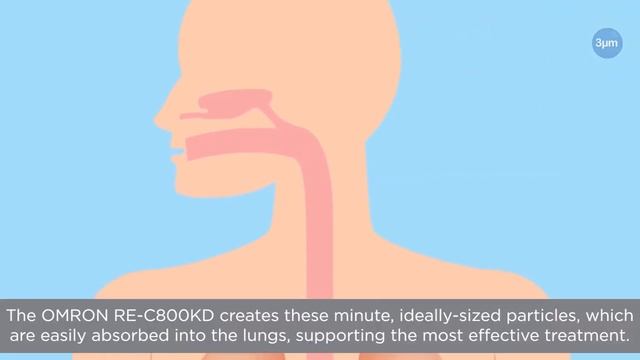 Everything You Need to Know About the OMRON CompAir Compressor Nebulizer for Children) смотреть онлайн