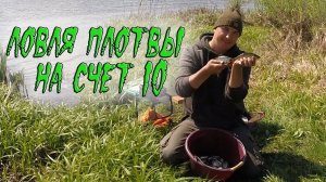 Ловля плотвы на счет 10. Бешеный клев.
