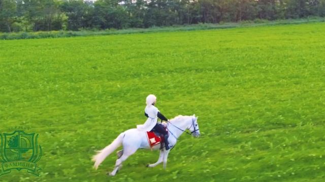 Усадьба "Фамилия" Конный Клуб смотреть онлайн