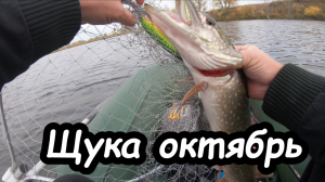 Щука в октябре на воблеры