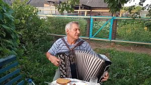 деревня моя деревянная Дальняя любительское исполнение баян