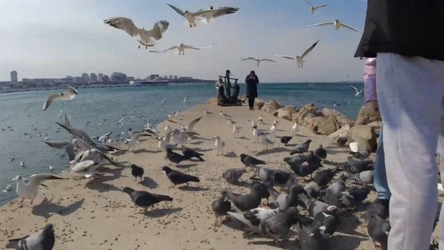 travel is my life?✨|| ОТЕЛЬ ПРИМОРЬЕ! ГЕЛЕНДЖИК~шведский стол,море~МОСКВА/ ГУМ/ Красная Площадь