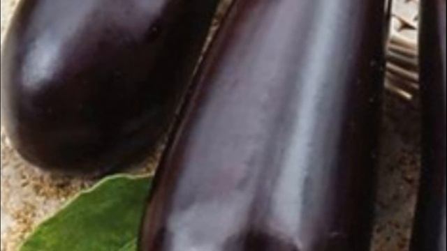 Лучшие сорта баклажан особенности, характеристики смотреть онлайн