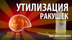 Утилизация ракушек в кислоте - химические опыты