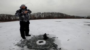 Ice Fishing Baits for Crappie and Bluegill