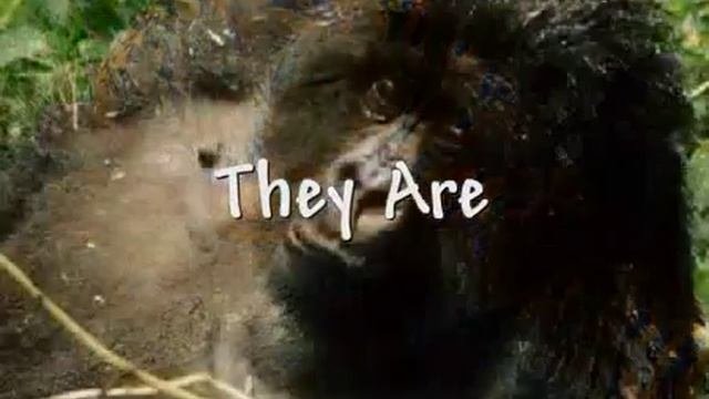 World Wildlife Fund