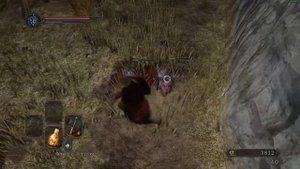 Тасманский дьявол 4:00