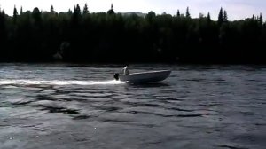 Стеклопластиковая лодка "Гуляевка" (Tohatsu 9.8 сил)