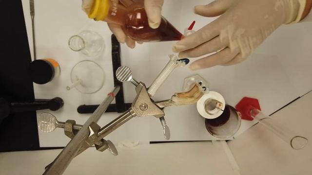 Caffeine extraction and separation смотреть онлайн