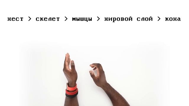 АНАТОМИЯ: ЕДИНСТВЕННЫЙ гайд, который тебе нужен! смотреть онлайн